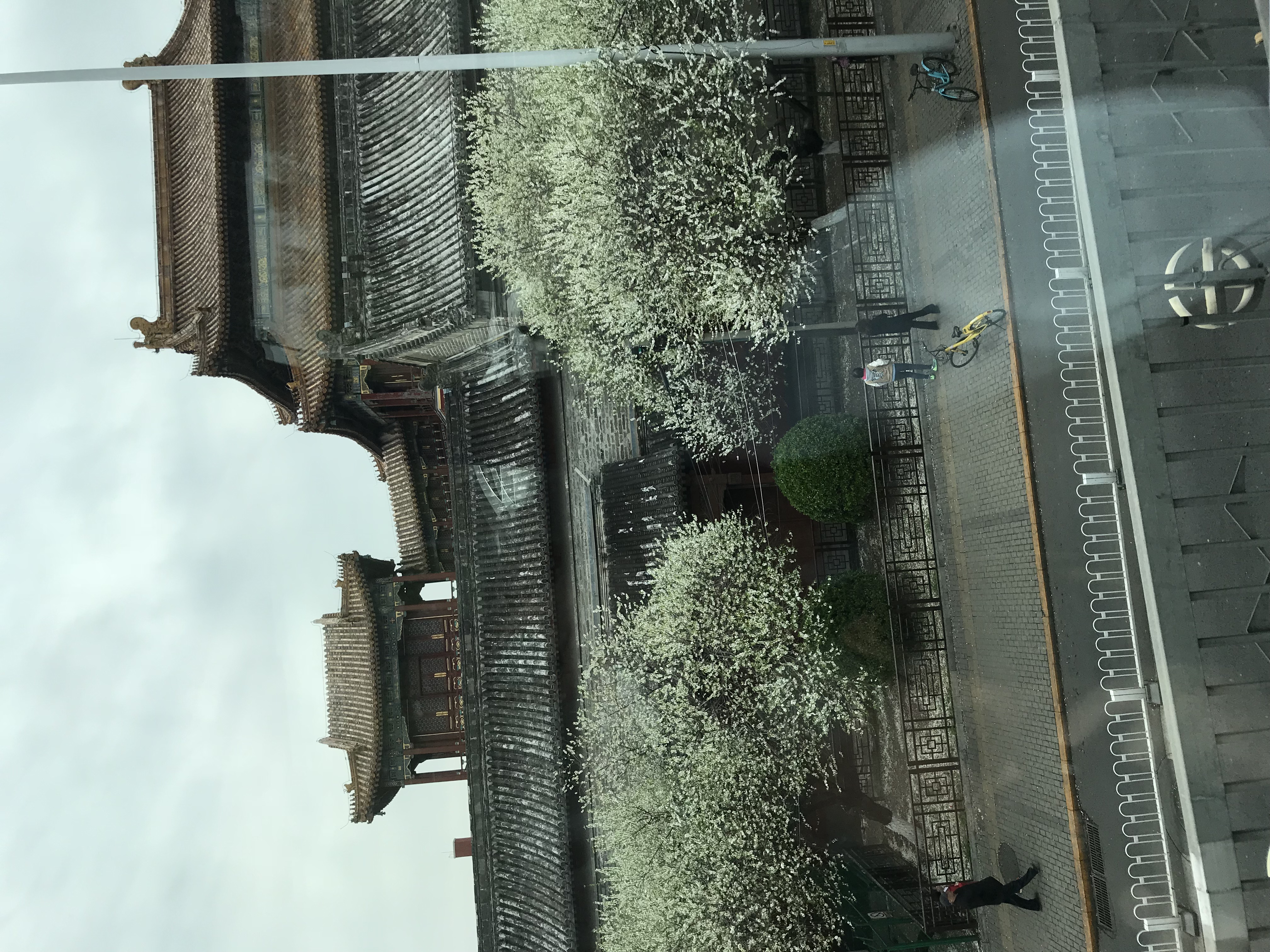 ./2018/03 - Viking China/10 - Hutong/IMG_5950.JPG